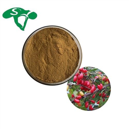 Fructus Corni Extract Powder